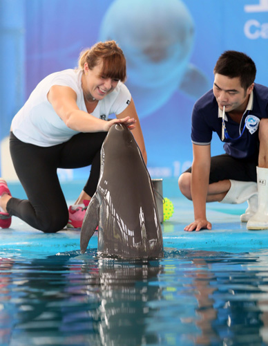 让他在起步 让他在起步